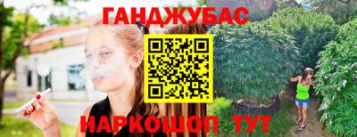 гидра Кинель